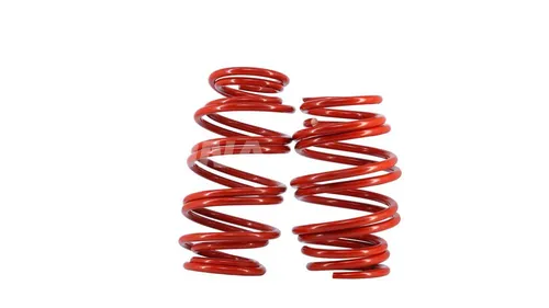 Пружины (Accord 7 -30мм Технорессор )